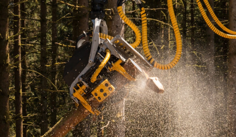 Harvester arbeitet im Wald