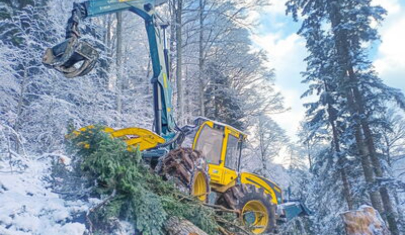Harvester bei Schnee im Wald