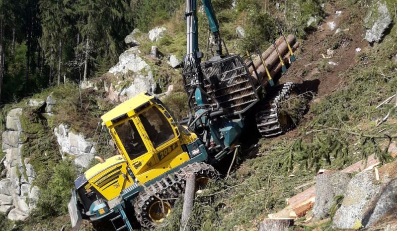Harvester bei Schnee im Wald
